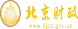 AV东北逼北京市财政局