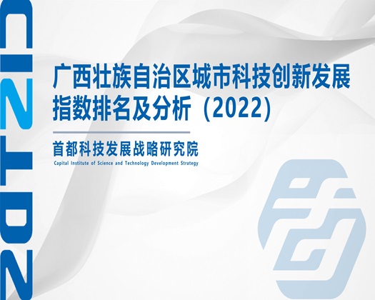 欧美欧洲亚洲好看的女同性恋在线【成果发布】广西壮族自治区城市科技创新发展指数排名及分析（2022）